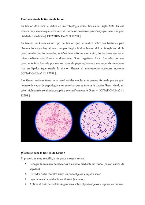 Fundamento De La Tinción De Gram Fundamento De La Tinción De Gram La Tinción De Gram Se