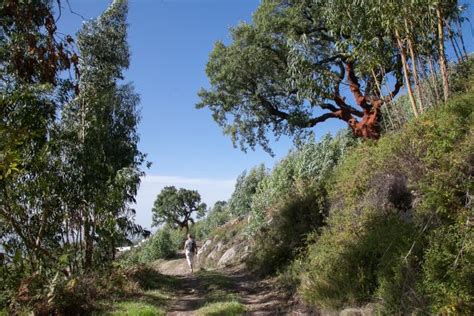 Wandelen In De Algarve Zoek De Rust Op Wandelmagazine