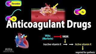 Anticoagulants Heparin U0026 Warfarin Pharmacology Doovi