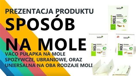Sposób na mole ubraniowe. Jak pozbyć się moli spożywczych? - YouTube