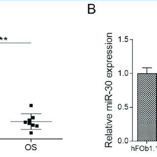 Mir Expression Is Downregulated In Os Tissues And Cells A Mir