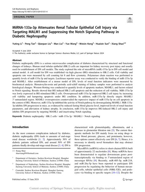 MiRNA 133a 3p Attenuates Renal Tubular Epithelial Cell Injury Via