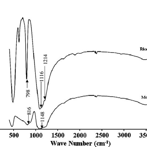 Xrd Patterns Of Rice Husk Ash And Metakaolin Download Scientific Diagram