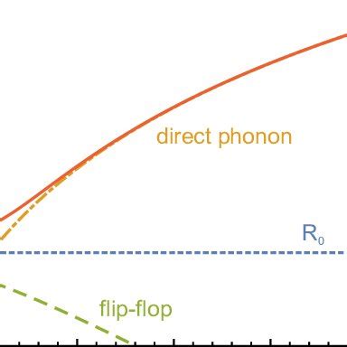 Magnetic Field Dependence Of The Spin Flip Rate As Described By