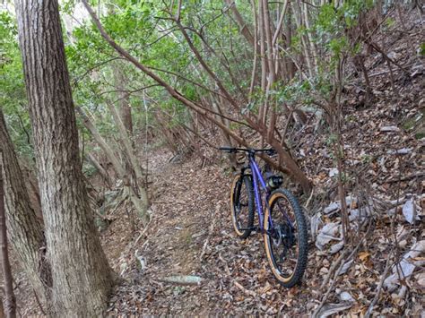 2022年初mtbトレイル セオサイクル浜松店 自転車屋 浜松市 中区 静岡文化芸術大学すぐ横 自転車専門店 セオ