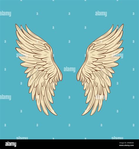 Bird Wings Clipart