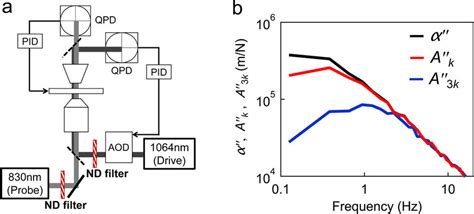 The Microrheology Setup And Trapping Force Calibration A A