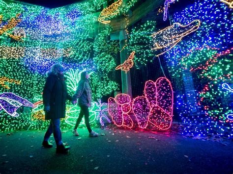 Oregon ZooLights Are Back: Here's What You Need To Know | Portland, OR ...