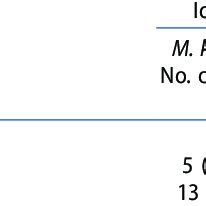 Demographic data of some patients infected with slowly growing ... 