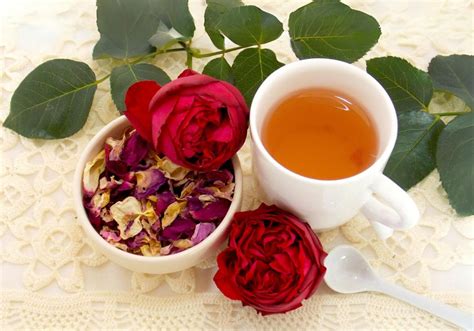O Chá de Rosas - Chá e Sabedoria | Plantas e ervas medicinais