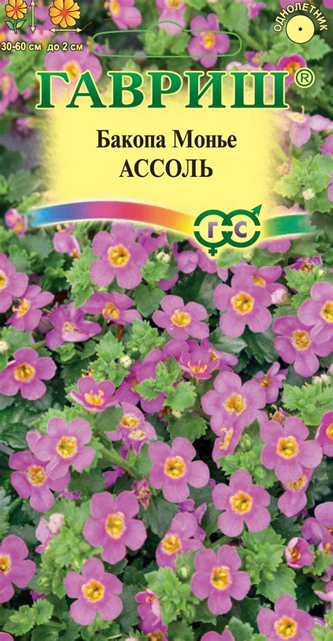 Семена Бакопа Монье (Сутера) Ассоль, 3шт, Гавриш, Цветочная коллекция ...