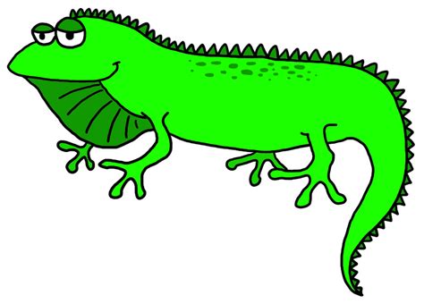 Iguana clipart transparent background, Iguana transparent background ...