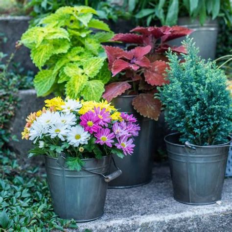 Floristik De Deko Eimer Mit Henkel Gartendeko Pflanztopf