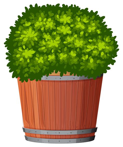 A Green Plant In Pot 605021 Vector Art At Vecteezy