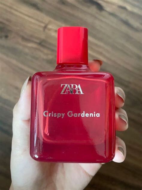 Introduce 62 Imagen Zara Crispy Gardenia Fr Thptnganamst Edu Vn