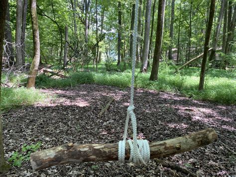 Learn How To Make A Stick Swing — Learning Withoutdoors