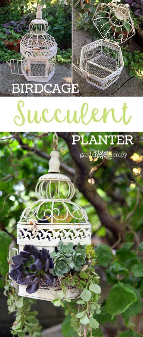 Delightful Diy Succulent Planter Ideas For Indoor And Outdoor Use