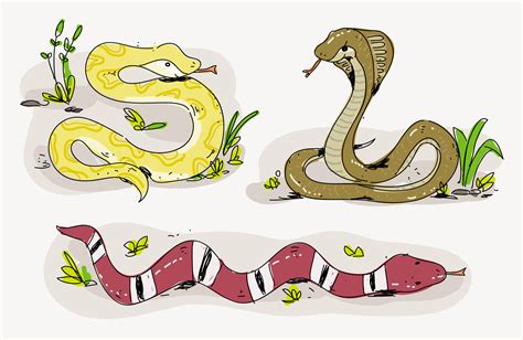 Snake Illustration In Vector Snake Illustration Snake Tattoo Design