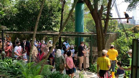 Kl Bird Park Entry Ticket With Transfer Save Up To 15 Kuala Lumpur