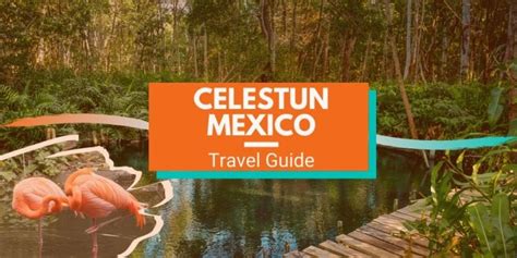 Celestun, Mexico | Ultimate Guide (+Things to Do!) - Travel Lemming