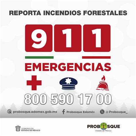 Reporta Incendios Forestales Probosque