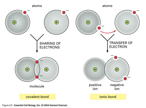 Different Types Of Bonds Chemistry