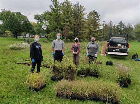 How Seed Orchards Fill A Growing Need For Native Plants WWF CA