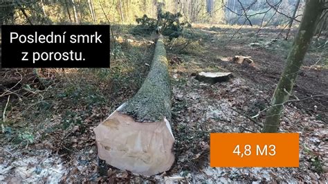 Těžba dřeva Zetor 7245 horal naviják Agama aga 2 stihl Ms 440 Ms462