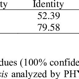 The Heat Shock Cognate Kda Protein Modeling By Swiss Model