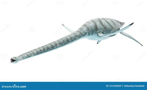 An Styxosaurus Royalty-Free Illustration | CartoonDealer.com #127854354