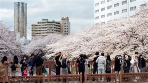 Jepang Izinkan Turis Asing Masuk Wni Tak Perlu Tunjukkan Sertifikat