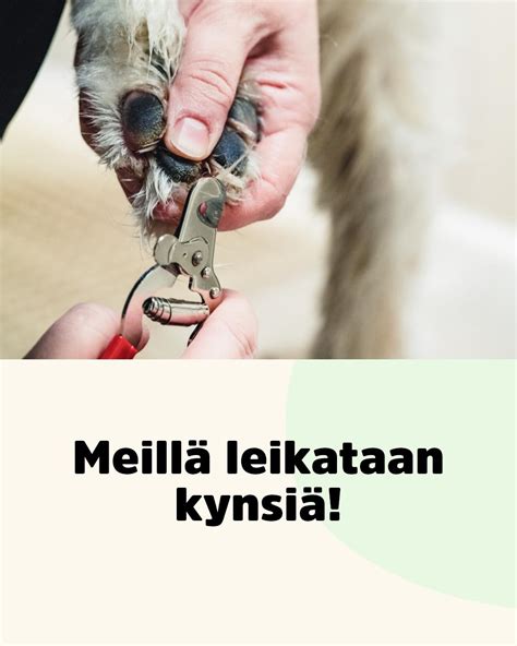 Musti Ja Mirri Kauppakeskus Kivis