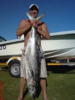 Coatesman S Spearfishing Waterman S Blog Spearfishing Umdloti