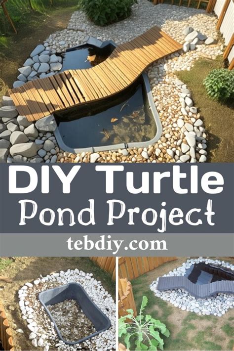 Diy Turtle Pond Project For Summer Teb Diy