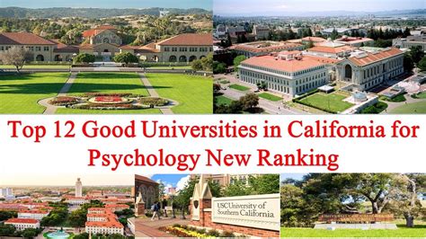 Top 12 Good Universities In California For Psychology New Ranking Youtube