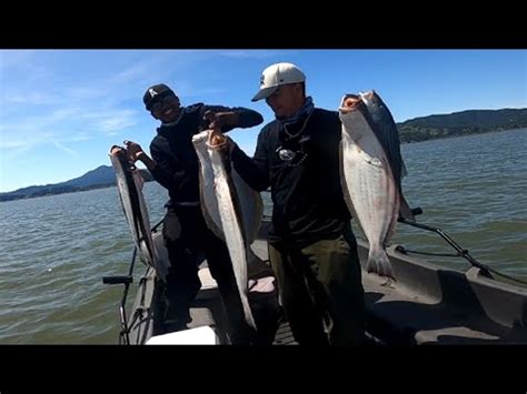 Epic Halibut Fishing In San Francisco Bay Youtube