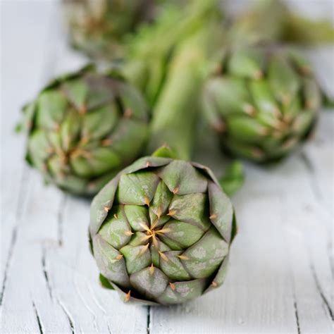 Artichoke - Green Globe