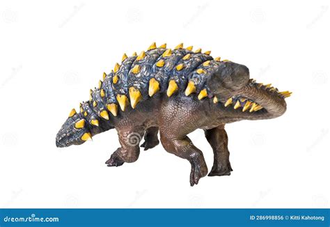 Ankylosaurus Dinosaur Isolated Background Stock Photo Image Of