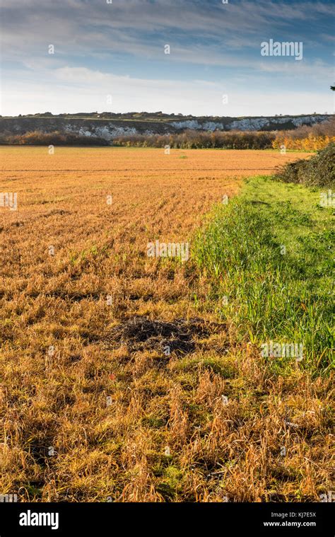 Herbicida sistémico fotografías e imágenes de alta resolución Alamy