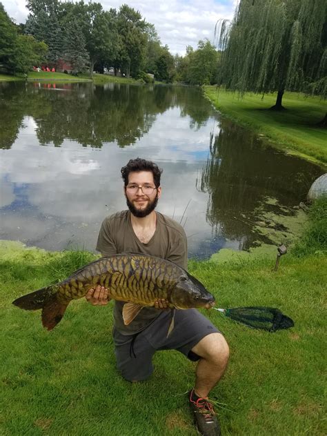 Nice mirror carp : r/Fishing