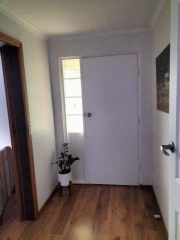 Male Nude House Cleaning And Car Fastiko Au