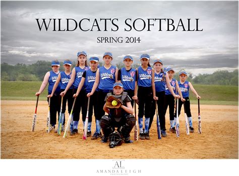 Softball Team Picture / Pose | Fast Pitch | Amanda Leigh Photography ...