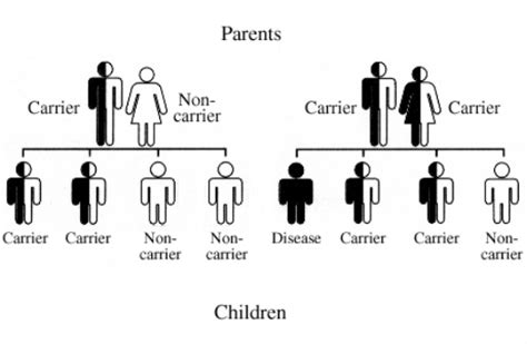 Picture and Diagrams - tay Sachs disease