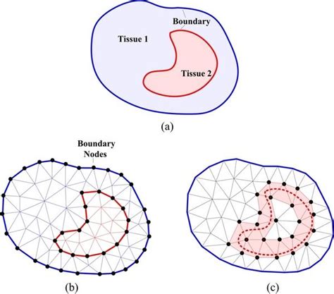 14 Discretization Of The Flow Domain In Finite Element Method 27