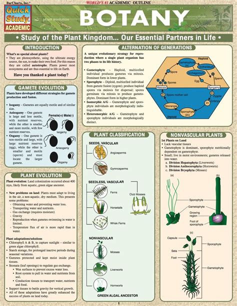 Botany Study Guide Ebook Rental Botany Plant Classification Plant