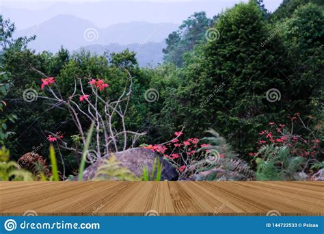 Rvore De Natal Paisagem Da Montanha No Crep Sculo Imagem De Stock