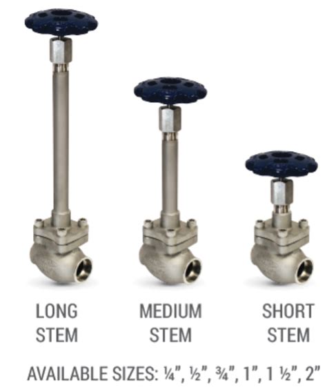 Rego Stainless Steel Globe Valves For Cryogenic Service Sks Advantage