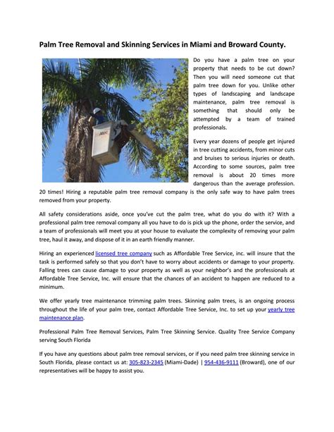 Palm Tree Removal Services by treeserviceinc - Issuu