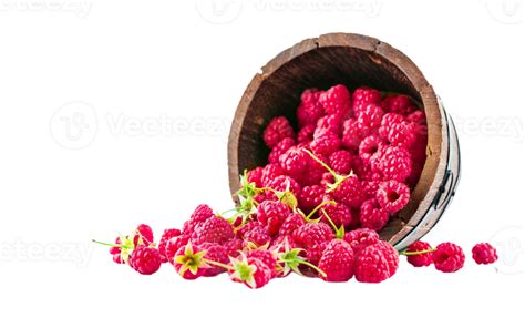 Berry Png Transparent Background 29228580 Png