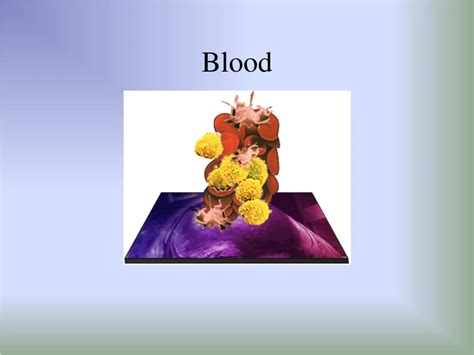 PPT - Blood: The Lifesaving Fluid in Your Body PowerPoint Presentation ... 